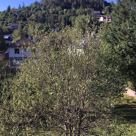 Au Bord De L'eau Bed & Breakfast *