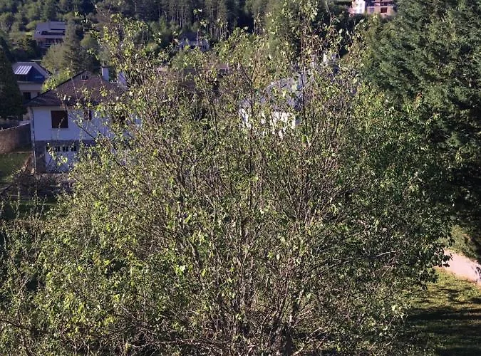 Au Bord De L'eau לינה וארוחת בוקר 3*